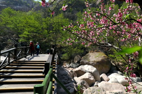 青岛崂山踏春赏景全攻略：探寻春日美景的秘境之旅