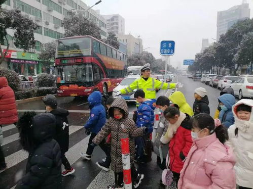 许昌交通事故频发，市民心声：加强管理刻不容缓